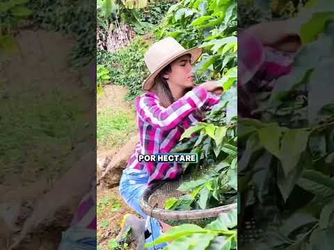 ☕ Você já conhece Brejetuba? Me conta aqui! 👇💬