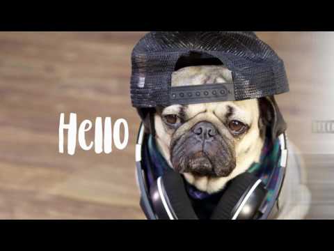 YouTube Video Thumbnail