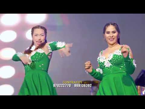 AMOR PAISANO_  ESTOY TOMANDO  (REGALO DE FIN DE AÑO)