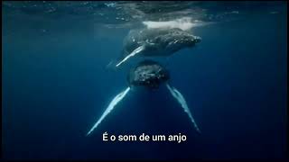 The Gathering - Great Ocean Road (Legendado) PT-BR
