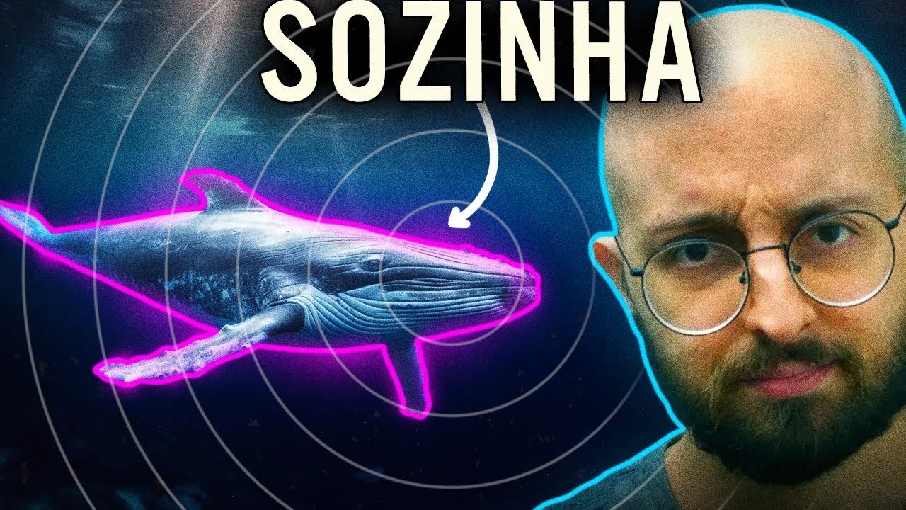 como BALEIAS CANTAM? (e como isso a deixa solitária)