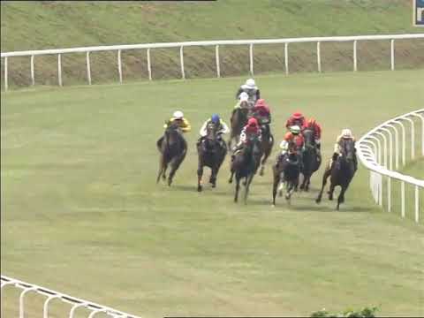 31 May 2025 Race 4