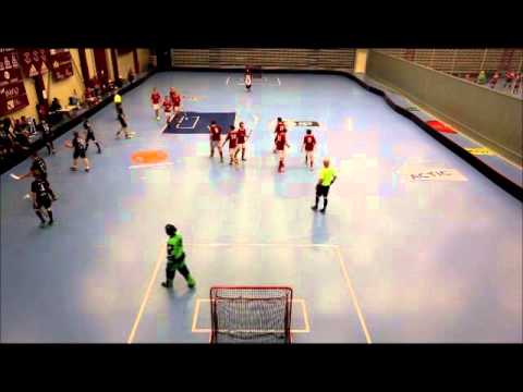 Alla Sundborns målen   IBF Falun Sundborn 2015 03 29