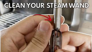 How to clean the steam wand on your Breville espresso machine