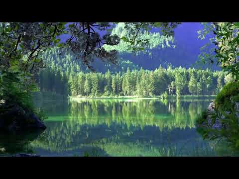 Acalmar a Mente Inquieta   Música Relaxante para Tranquilizar Pensamentos Acelerados   Descontrair