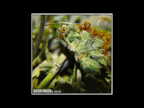 HashFinger - March​.​12 EP [Full Album]