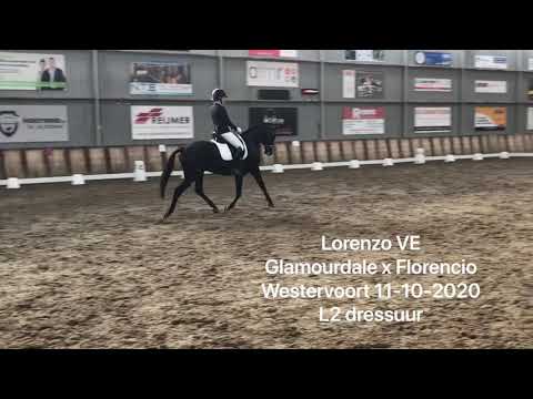 Lorenzo VE (v. Glamourdale)