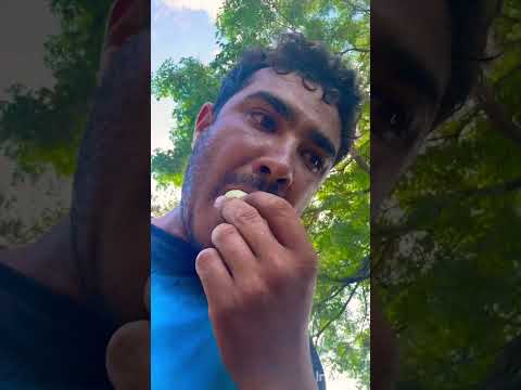 Passando na br 285 Rio Grande do Sul de São Luiz Gonzaga para Santo Ângelo