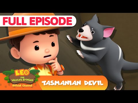 Witness21 Editor  2025 05 01