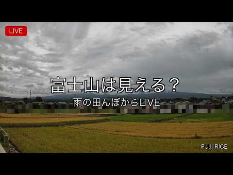 雨の富士山麓と田んぼのライブカメラ映像