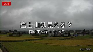 【4K LIVE】富士山麓の夜と田んぼ｜米農家の自作BGM・静岡 富士宮 / Mt. Fuji Live Cam live webcam