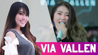 Download lagu SENORITA - VIA VALLEN - IRLANDA LIVE IN CILACAP mp3