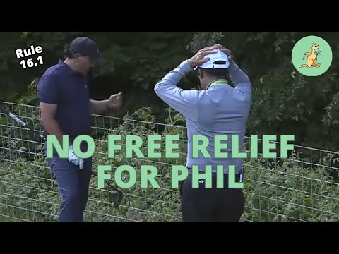 Lateral Relief Unplayable - Golf Rules Explained
