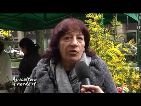 Le donne della Cia di Padova