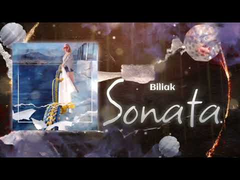 Biliak - Sonata(Original mix)