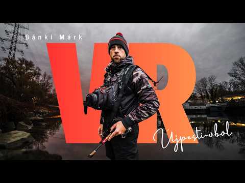 Városi RAGADOZÓK – Újpesti-öböl | SÜLLŐZÉS és KÖVESEZÉS városi környezetben