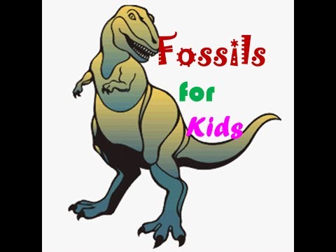 Fossils for kids