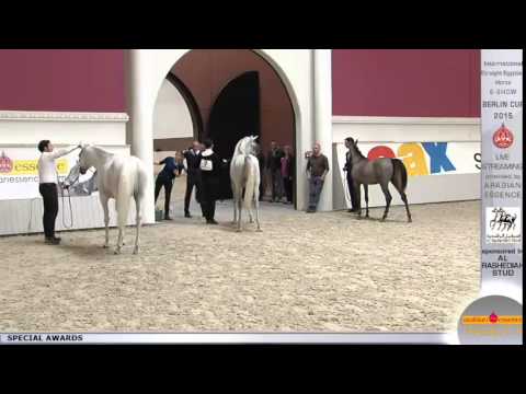 Berlin Cup 2015 - Special Awards