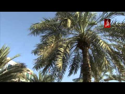 دولة الإمارات العربية المتحدة تسعرض انجازاتها