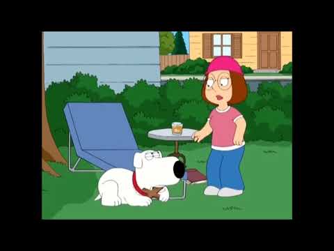 family guy - brian griffin - new kids on block