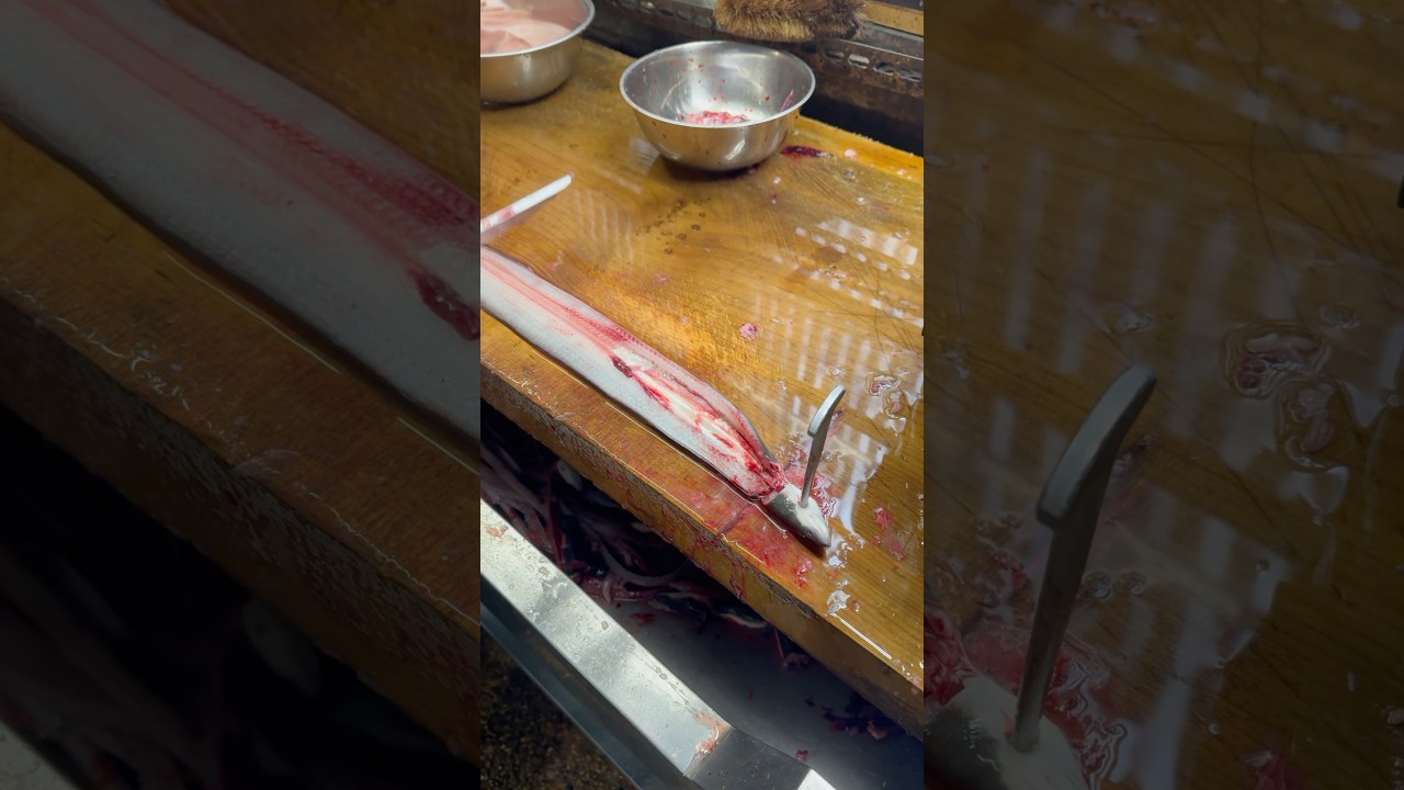 On winter mornings, we prepare eels at 2°C. It's difficult because your hands get cold.#eel#japanese