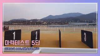 [마력진단] 23년5월5일 제주4경주 삼복승식 446.6배