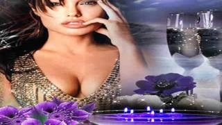 für eine nacht gehörst du mir andy borg