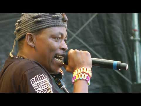 Bamba Wassoulou Groove - Djamalouyo - Live at Afrika Festival Hertme 2016