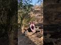 Wow The Komodo Dragon Opens Its Mouth Very Big