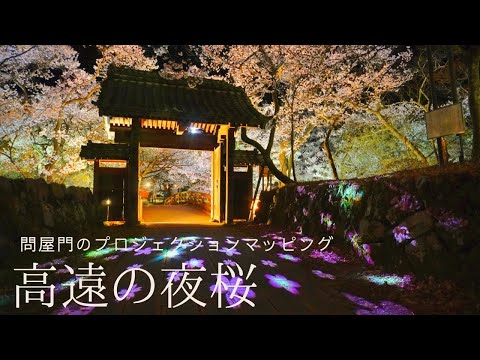 【天下第一の桜チャンネル＃6】高遠城址公園 夜桜ライトアップ2021.