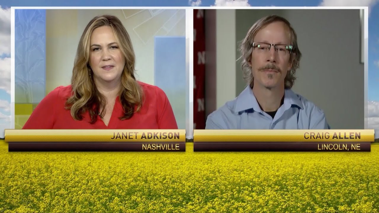 On RFD-TV: Craig Allen