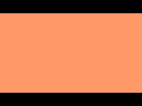 Peach Peach Binding Eckel wh A4 100 vnt.
