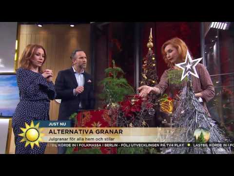 Satsa på en alternativ gran i år! - Nyhetsmorgon (TV4)