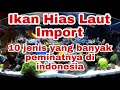 Ikan Hias Laut Yang Berasal Dari Indonesia