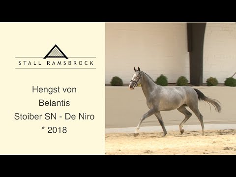 Nr 29 Belantis x Stoiber SN