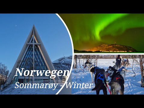 Norwegen, Norway - Winterreise - Sommaroy: Polarlichter, Hundeschlittentour-Husky, Tromsö, Fjord -4K