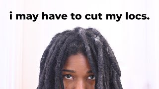 Removing Loc Product Buildup..The RED FLAGS I Ignored!