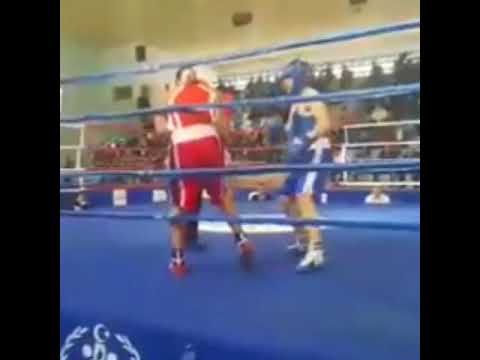 karaciğer  knock out