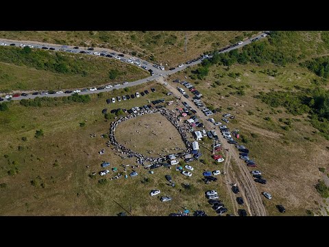 Košće 01.08.2025. ||| Dani dijaspore |||