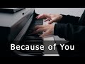 Because Of You Kelly Clarkson Piano Cover By Riyandi Kusuma