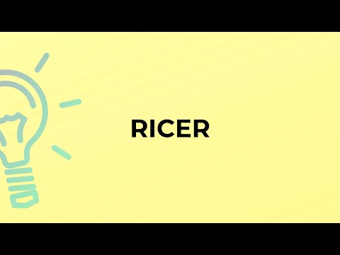 What is the meaning of the word RICER?