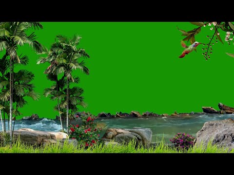 River Green Screen /Nature Green Screen /Green Screen Effects /Jungle Green Screen /Background Video