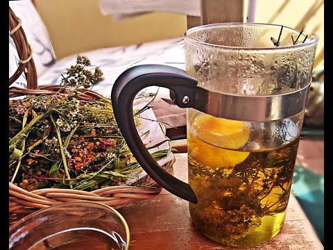 Echtes Labkraut 2023 08 15