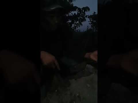 Ampou paulos vs cristina 😅