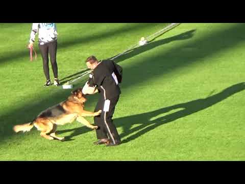 2021 SV BSZS TSB 1040 VA9 Uvo dell Alto Ofanto