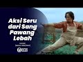 Iklan Konidin Pawang Lebah Sekitar 2006 2007