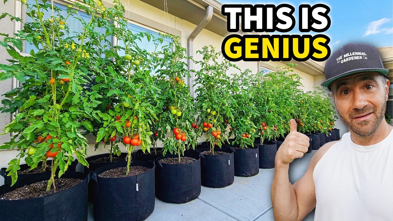 Weirdly Brilliant Ways to Grow Vegetables WITHOUT a Garden or Yard!