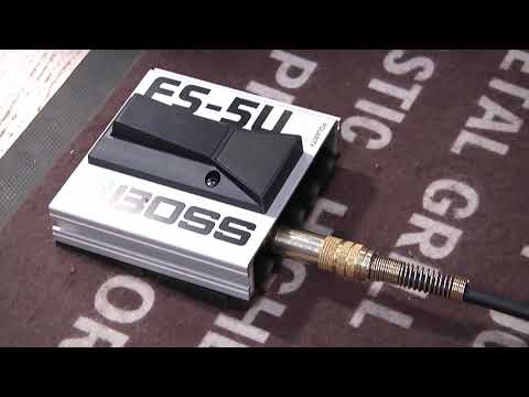 BOSS FS-5U, FS-5L, FS-6 Foot Switch - By GearTestUa