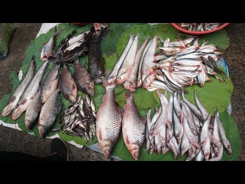 Walk Around Street Market @Orussey - Morning Activities of Khmer Vendors Selling Food Type in Market