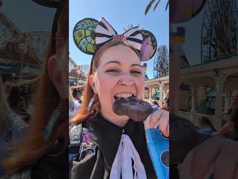 Disneyland VIP Tour!